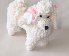 depicting a white poodle