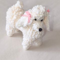 depicting a white poodle