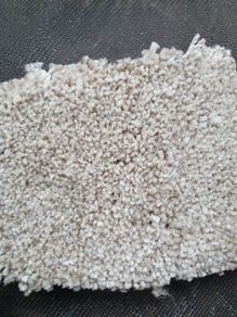 Carpet