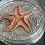 2 dollar's silver coin Starfish from the world of fossils Image 2