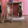 Schleich Beauty Salon Image 2