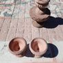 garden Image 4