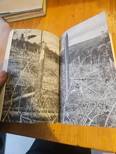 The Forests Of Ireland. History,distribution And Silviculture. Edited By The Royal Society Of Irish Foresters By Niall O'connor. First Edition Paperback In Good Condition   See Photos For Same.
