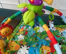 Jungle gym (Fisher Peon)