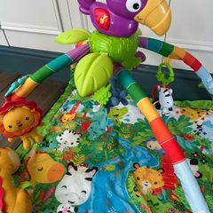 Jungle gym (Fisher Peon)