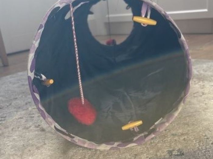 cat tunnel