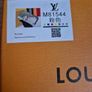 LV purse Image 2