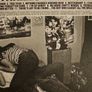 The Thrills CDs Collection: Teenager. CD + DVD / Let's Bottle Bohemia / So Much For The City. Image 2