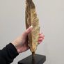Home Decor Image 2