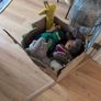 box of teddies Image 5