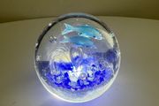 Two Dolphin and Ocean themed Paperweights