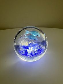 Two Dolphin and Ocean themed Paperweights
