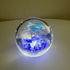 Two Dolphin and Ocean themed Paperweights