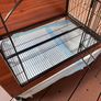 Dog Cage Image 3