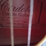 Cordoba Classic Guitar Image 2