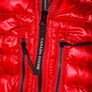 canada goose hybrid Image 3