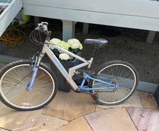 ladies bicycle