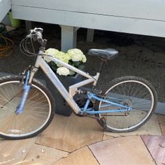 ladies bicycle