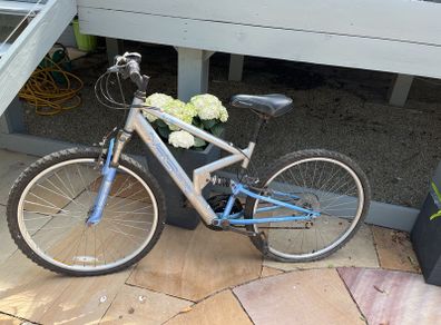 ladies bicycle