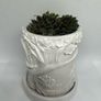 Handmade Concrete Treehouse Planter / Decorative Piece Image 8
