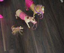 toy
