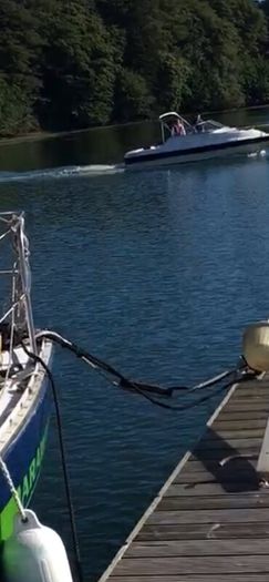 Boat Project Boat Bayliner 1994