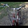 Bike Image 7