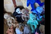 Vintage Beanie Babies Collector's Pieces