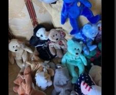 Vintage Beanie Babies Collector's Pieces