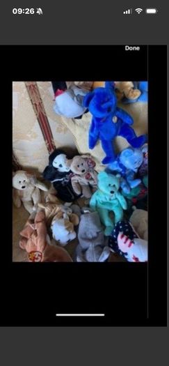 Vintage Beanie Babies Collector's Pieces