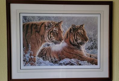 Ltd Edition by Alan M Hunt.