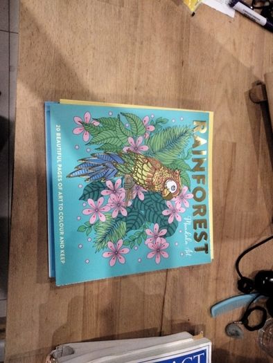 Mandala Art book