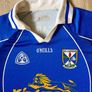 Cavan GAA Jersey 2004-2007 Image 2