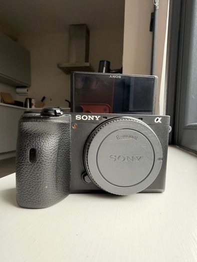 Sony Alpha 6600