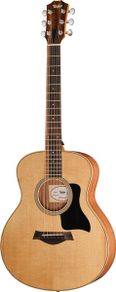 Taylor gs mini