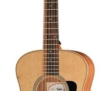 Taylor gs mini