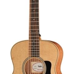 Taylor gs mini