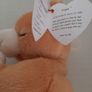 New Hope beanie bear tag attached collectable Image 5