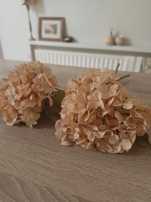 Hydrangea Stems Faux x2