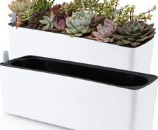2-Pack Self Watering Planter, Rectangle Flower Pot with Water Level Indicator, Window Gardening Box for Indoor Plant, Succulent, Herb, Vegetable