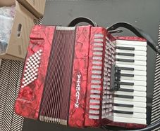 piano accordian...to include case