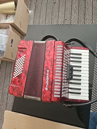 piano accordian...to include case