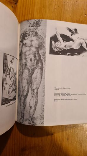 Realistic Abstract Art Pitnan 29. 1959. Paperback In Good Condition.