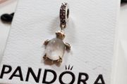Pandora pink turtle charm (70eur in store)