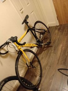 carrera bike