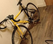 carrera bike
