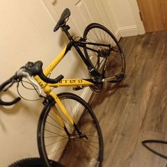 carrera bike