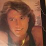 Andy Gibb After Dark Original 1980 Irish Pressing Vinyl LP Image 2