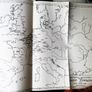 The Sources For The Early History Of Ireland ; Ecclesiastical Image 4