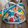 Baby Einstein Baby Gym Image 2